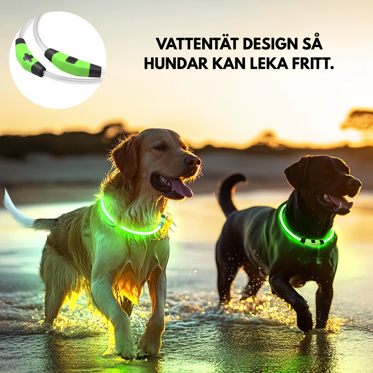 LjusBandet™ - Säkra hundar i mörkret.