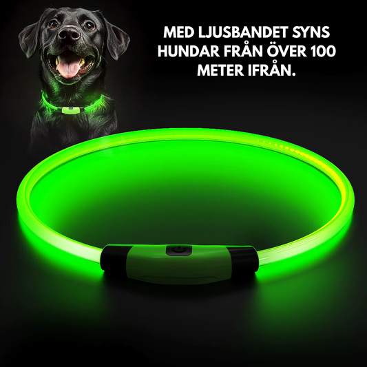 LjusBandet™ - Säkra hundar i mörkret.